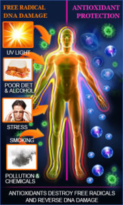 anti-aging-phenomenon